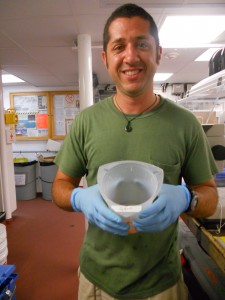 Zooplankton!