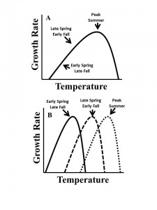 Fixed (A) and variable (B) thermal performance curves. The approximate time of year for the A. tonsa season is indicated for each.